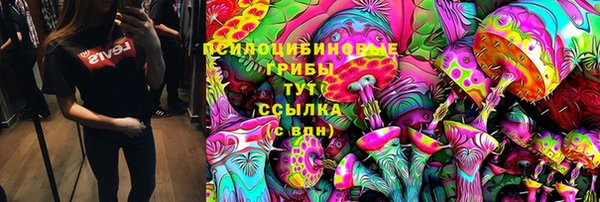 a pvp Арсеньев