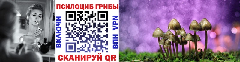 Псилоцибиновые грибы прущие грибы  Ковылкино 